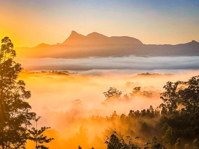 347 Acre Retreat at the End of the Tyalgum Creek Valley Absolute Privacy, Crystal Clear River, an Hour from the Gold Coast
