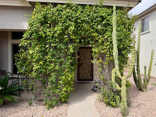 34946 n bandolier drive