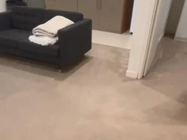 349 Bulwara Rd, Sydney