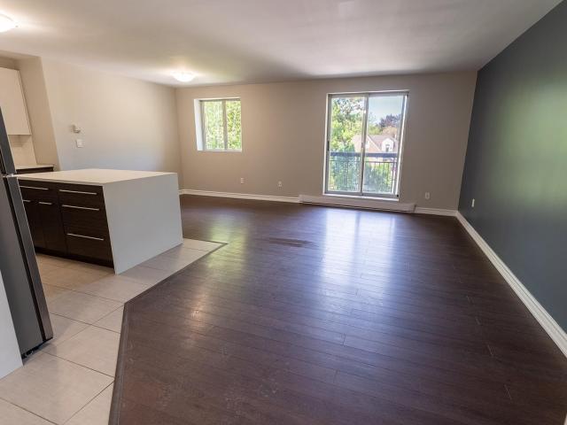 349 Queenston Street 1 Bedroom Deluxe Apartment for Rent