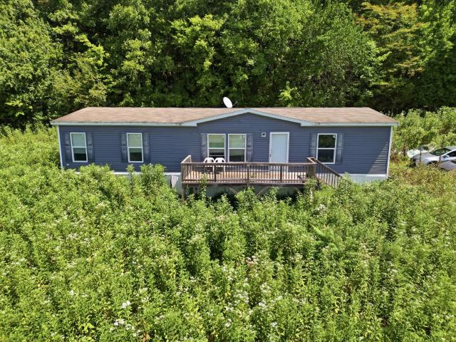 349 Young Branch Rd