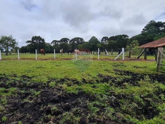 " Terreno com 4.285m² na Costeira Caminho do Vinho"