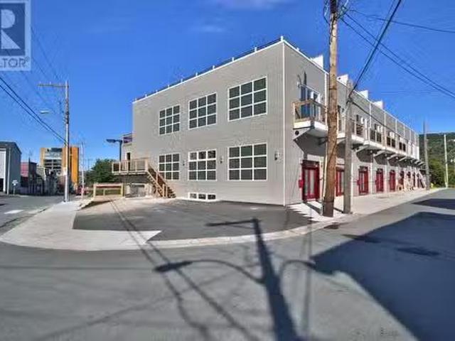 34 Brine Street, St. John'S, NL, A1E 2T3 house for sale Lis.