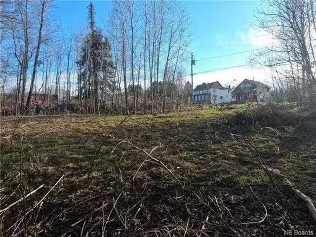 34 Roulston Ave, Plaster Rock, NB, E7G 2R2 vacant land for s.