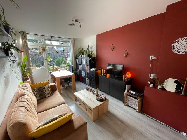 34a, Van Panhuysstraat, Helpman, Zuid, Groningen, Nederland, 9721 GD, Nederland