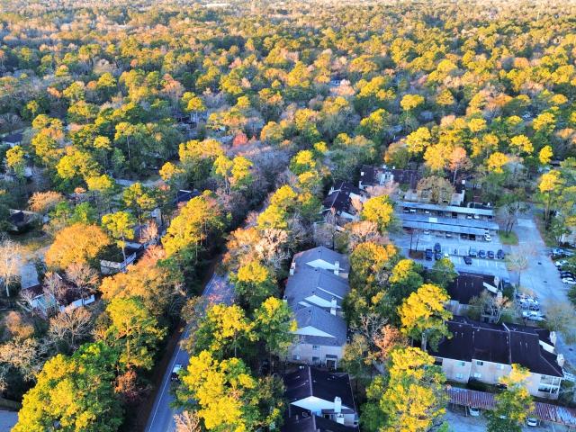 3500 Tangle Brush Dr, Unit 186, Spring, TX 77381 | MLS #59874