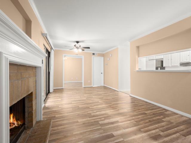 3500 Tangle Brush Drive 102