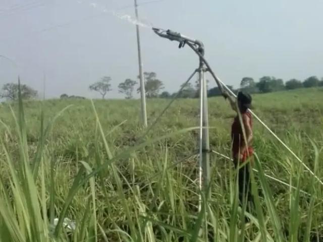 350 Hectares en venta Tierra Blanca, Veracruz Zona Cuenca del Papaloapan