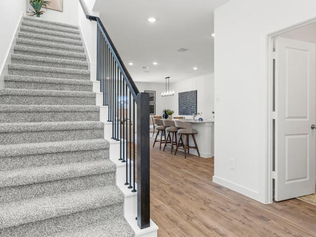 3515 Catbird Lane