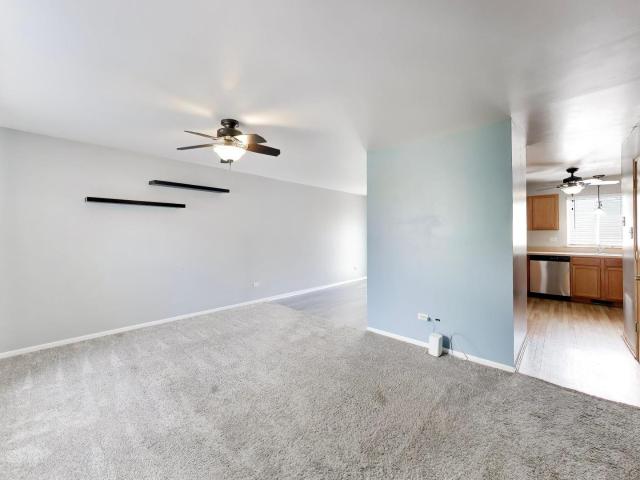 3512 Meadow Lily Drive