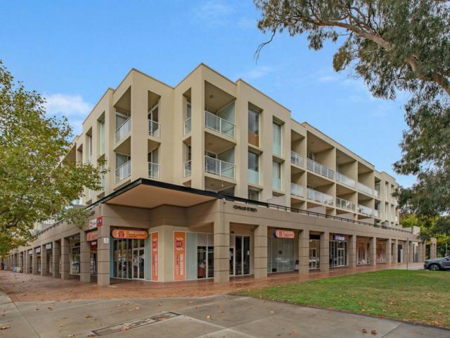 35/12 challis street, dickson act for rent lj hooker
