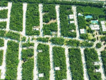 351 m2, Lot, Valenia, Playa del Carmen
