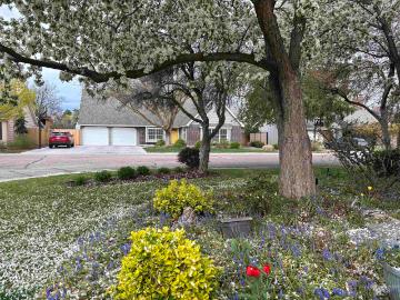 352 W Greensboro Ct