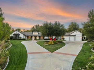 35350 Linda Rosea