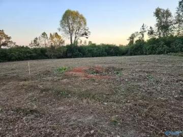 353 COX COVE RD # 11, HAYDEN, AL 35079