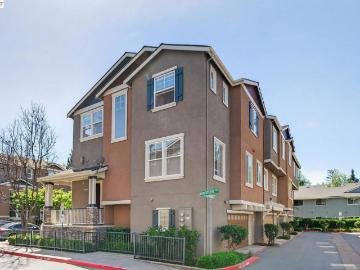 3554 Shadowbrook Ter