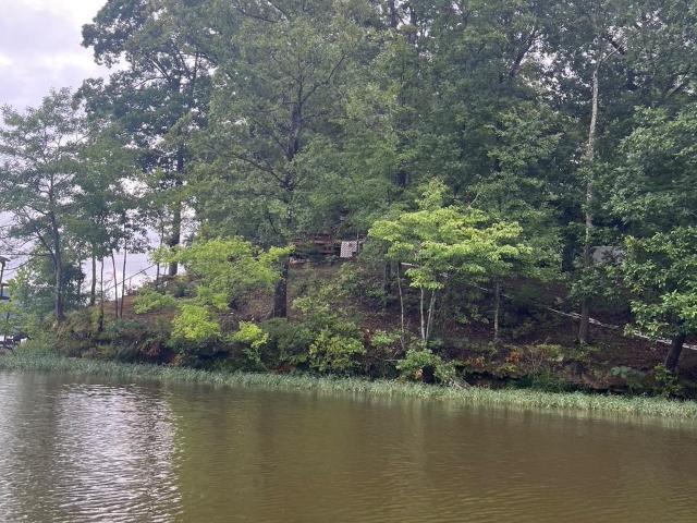 355 Marion Peak Lane