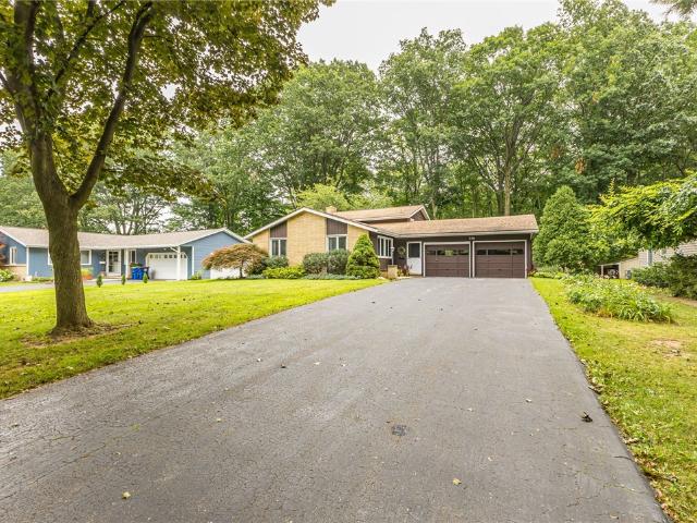 356 Black Walnut Drive