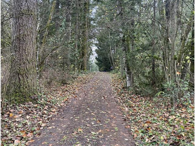 35819 NE 137th Ct, Yacolt, WA 98675 | MLS #739470