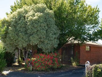3/5 7 Lytton Street INVERMAY