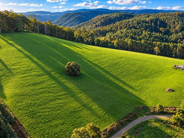 35 Acres of Pure Tasmania