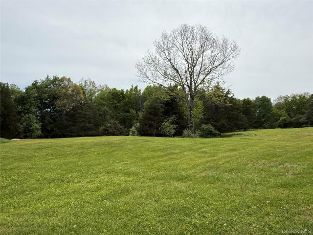 35 Appaloosa Lane