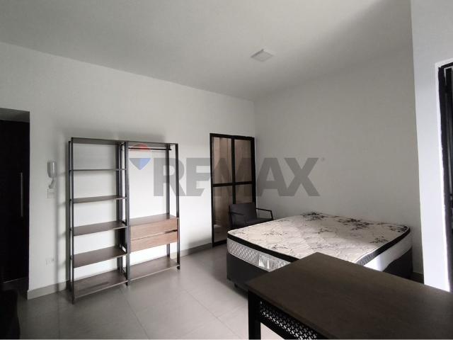 35 Área Útil Kitnet Alugar, 1 Dormitórios localizado em Vila Bocaina, Mauá, São Paulo, 09310090 | Brasil