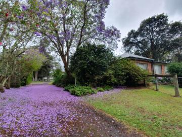 Glenorie, Baulkham Hills Shire, Snapper Island