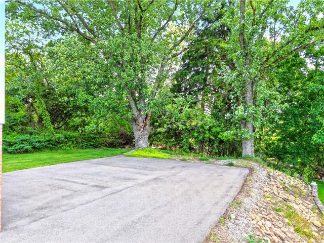 35 Frances Dr