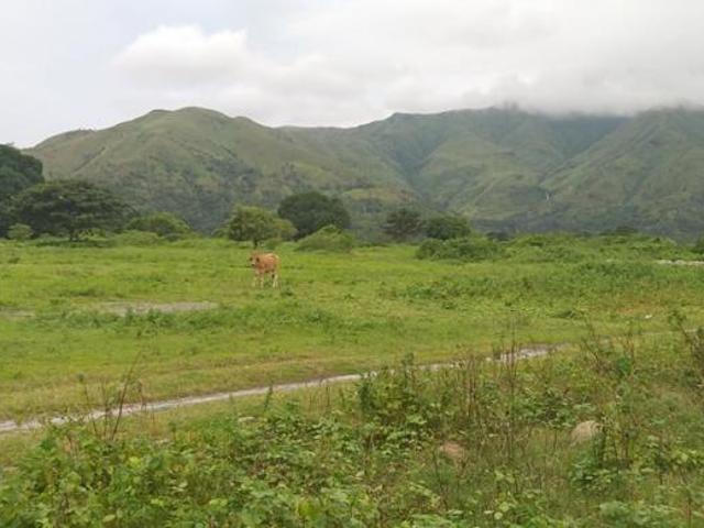 35 Hectares Lot For Sale