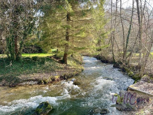 35 Km de Chambéry, Propriété champêtre maison 9 pièces + 2 annexes sur 2 ha de terrain au bord de l'eau