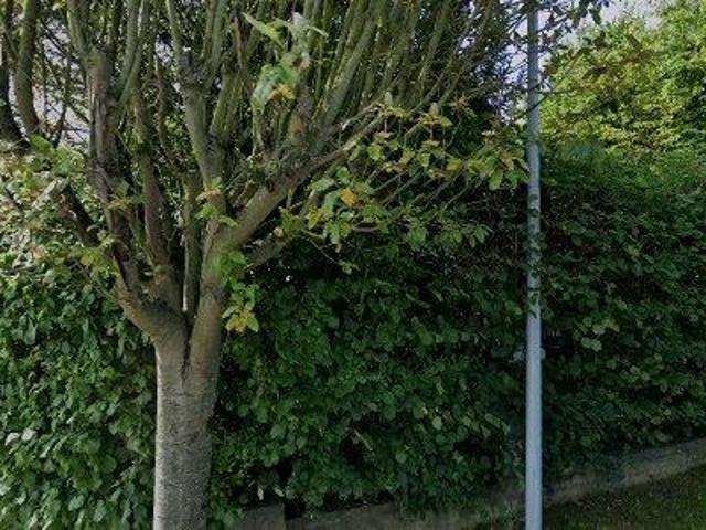 35 m2 apartment for rent in Eigenbrakel