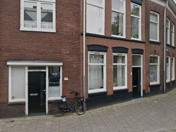 Wilhelminapark, Hagelbuurt