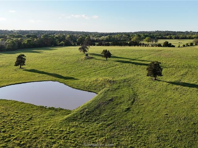 3607 county road 176