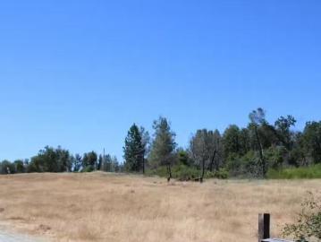 3600 LOU ALLEN LN, COOL, CA 95614