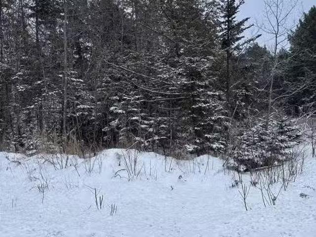 360 Condon Road, Hardwood Hill, NS, B0K 1R0 vacant land for.