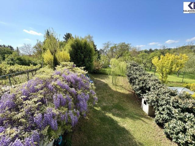 360 TOUR / GARTENWOHNUNG AM WILHELMINENBERG