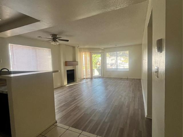 3610 Iguana Drive