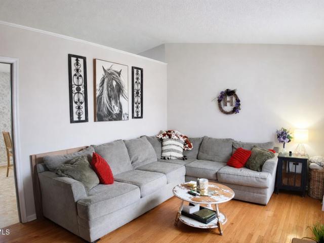 361 Springfield Drive