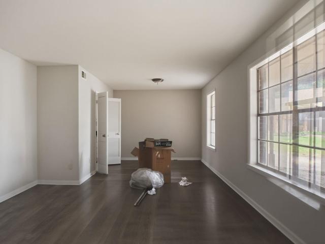 3621 tulip tree cv