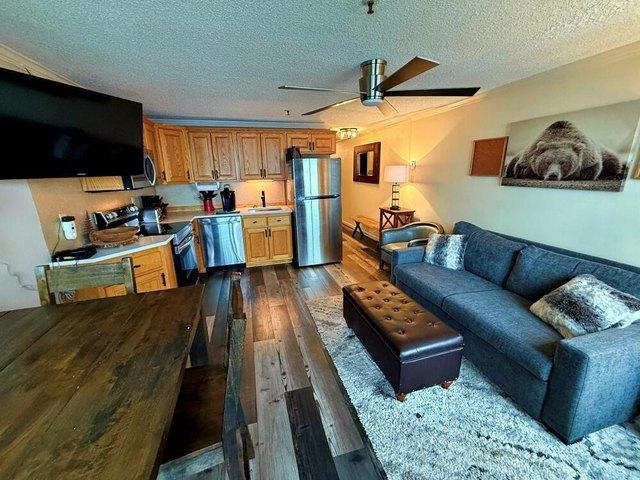 362 Mountain Ldg, Snowshoe, WV 26209