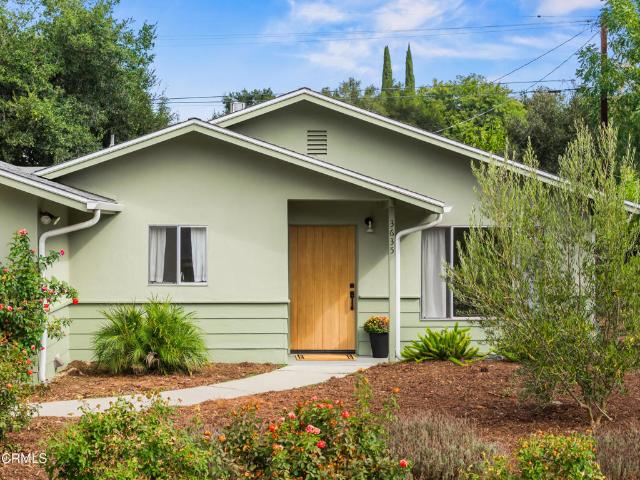 3635 Paloma Street
