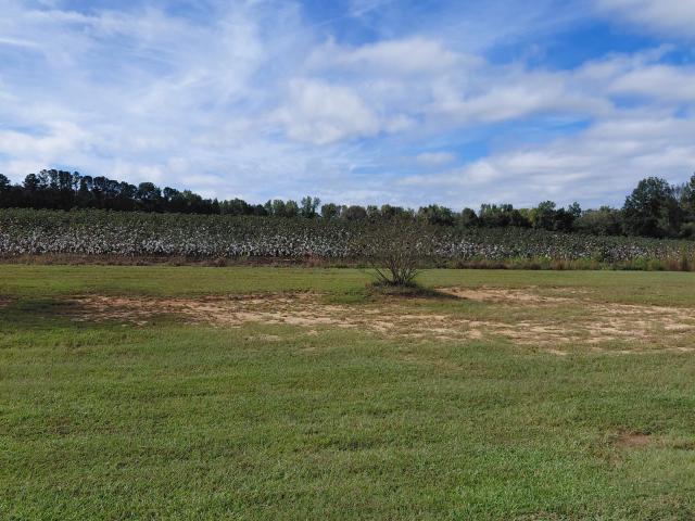 3636 Fountain Springs Road