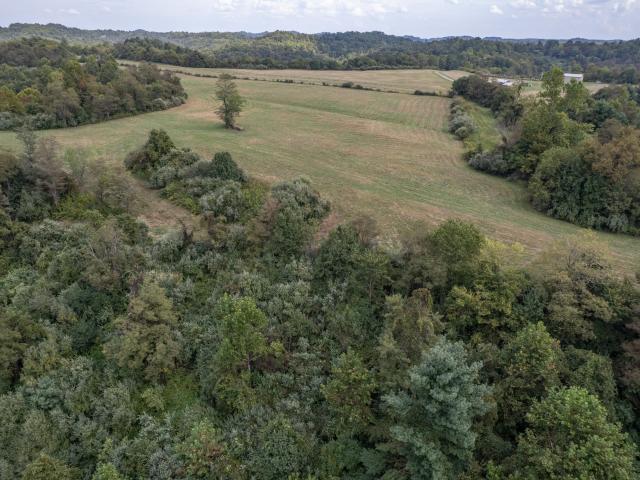 363 Higgins Branch Road