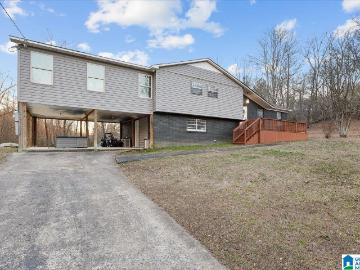 Oneonta city, Oneonta CCD Blount County Alabama, Blount County, Alabama, Alabama, USA