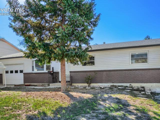 3665 Dogwood Drive