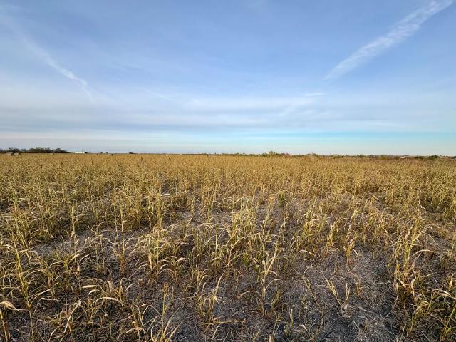 366 County Road 123, Buckholts, TX 76518 | MLS #600045