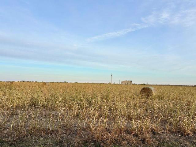 366 County Road 123