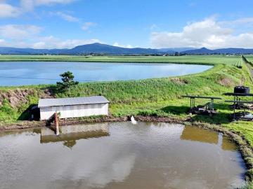 367.84 Acres of Prime Cane Land Opportunity in Marian