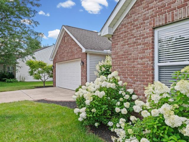 3685 Goodall Court